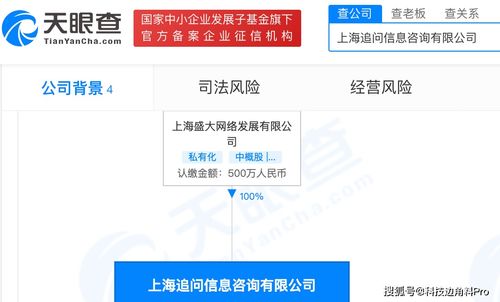 盛大網(wǎng)絡再落子 成立上海追問信息咨詢公司，注冊資本500萬元深耕信息咨詢服務